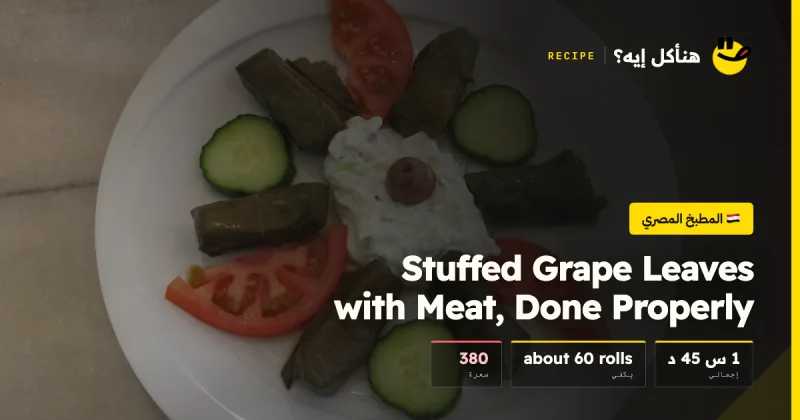 Stuffed Grape Leaves with Meat, Done Properly — المطبخ المصري على هنأكل إيه؟