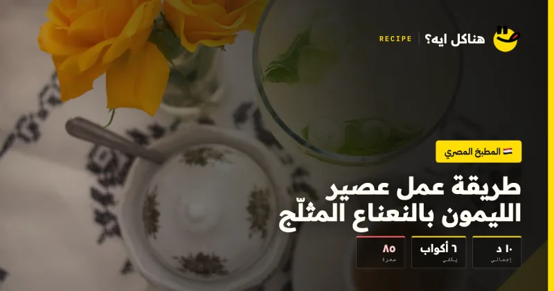 طريقة عمل عصير الليمون بالنعناع المثلّج — المطبخ المصري على هناكل ايه؟