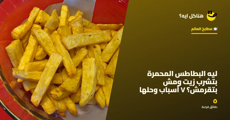 Why French Fries Absorb Oil and Don't Get Crispy? 7 Reasons and Solutions